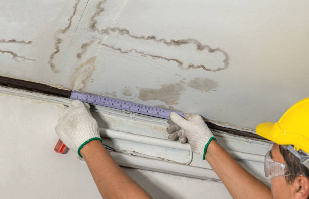 Reliable Water Damage contractor in Creedmoor, NC by Water Damage Irwin
